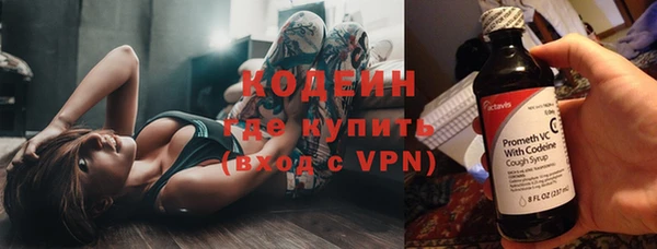 прущие крисы Ельня