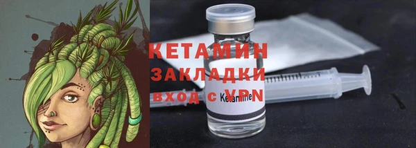 прущие крисы Ельня