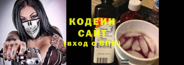 прущие крисы Ельня