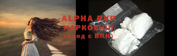 прущие крисы Ельня