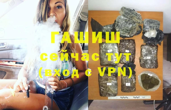 прущие крисы Ельня