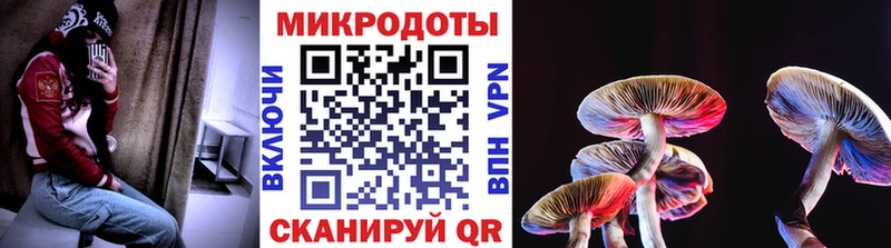 магазин продажи   Касли  Галлюциногенные грибы мицелий 